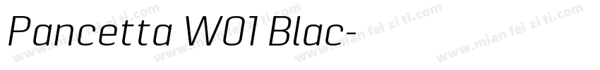 Pancetta W01 Blac字体转换